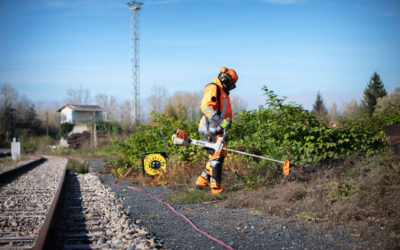 [REVUE DE PRESSE] BTP RAIL